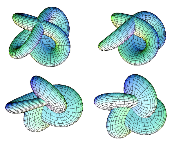 QuartetOfMorinSurfaces(WithoutPassageBarriers).PNG