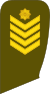 12-Lithuania Army-SGM.svg