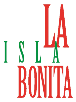 Madonna 1986 logo