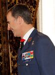 Recepción Rey Felipe VI (Cropped).jpg