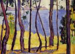 Signac - Saint-Tropez. Pins aux Canoubiers, c. 1894, FC 224 verso.jpg