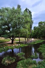 Simferopol Botanical Garden10.JPG