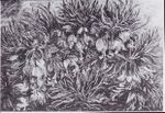 Van Gogh - Büschel von Schachbrettblumen.jpeg