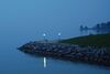 Waterfront Point at Twilight.jpg