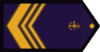 CI-ARA.png