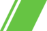 Lithuanian Border Guard racing stripe.png