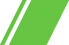 Lithuanian Border Guard racing stripe.png