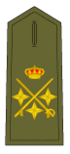 Teniente General