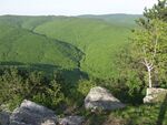 Papuk mt.jpg