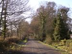 Pinkney Lane, near Lyndhurst, New Forest - geograph.org.uk - 92395.jpg