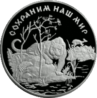 RR5115-0012R Амурский тигр.gif