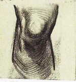 Sketch of a Knee f 1693d jh 988.jpg