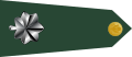 U.S. Army O-5 shoulderboard rotated (1959–2015).svg