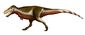 Zhuchengtyrannus magnus reconstruction.jpg