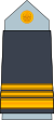 09. AAF-1LT.svg
