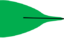 Leaf morphology Attenuate.png