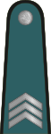 Lithuania-Police-Police officer 1st class.svg