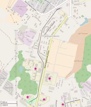 Malaya Dalnevostochnaya, Khabarovsk (OpenStreetMap).png