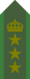SWE-Army-OF5.png