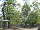 Sankt-Peterburg 2012 4554.jpg