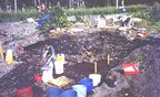 Yukon Island Main Site.jpg
