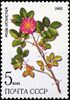 Почтовая марка СССР № 5649. 1985. Лекарственные растения Сибири.jpg