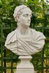 Санкт-Петербург, Летний сад. Бюст «Тит» 2.jpg