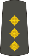 11-Serbian Army-CPT.svg