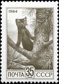 1984 CPA 5548 (1).jpg