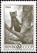 1984 CPA 5548 (1).jpg