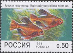 1998. Марка России 0425 hi.jpg
