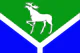 Flag of Ust-Ishimsky District.png