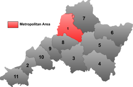 Jinzhong mcp.png