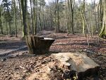 Nsg teterower heidberge 06.JPG