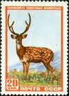 The Soviet Union 1957 CPA 1989 stamp (Sika Deer).jpg