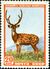 The Soviet Union 1957 CPA 1989 stamp (Sika Deer).jpg