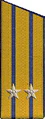 погоны 1956