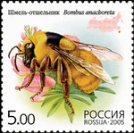 2005. Марка России stamp hi12612325014b2ce1752cdd2.jpg