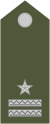 Army-SVK-OR-08b.svg