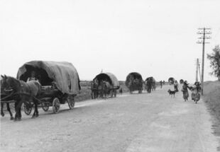 Bundesarchiv Bild 146-2004-0026, bei Lemberg, Wagen von Zigeunern.jpg