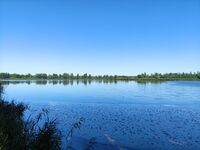 Lake Shlamonakopitelnoe 20220820 04.jpg