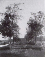 Pissarro - Pissarro and Durand-Ruel Snollaerts, 83.png