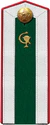 Red Army cadet medical service school 1943 shoulder straps.jpg