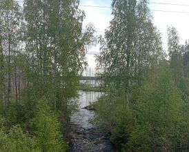 Kuva