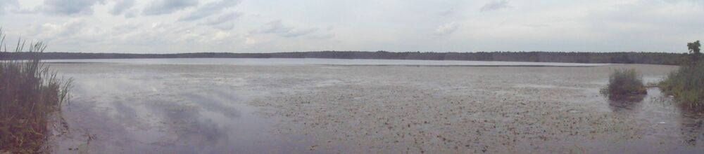 Панорама Нерского озера (село Озерецкое, лето 2013 года)