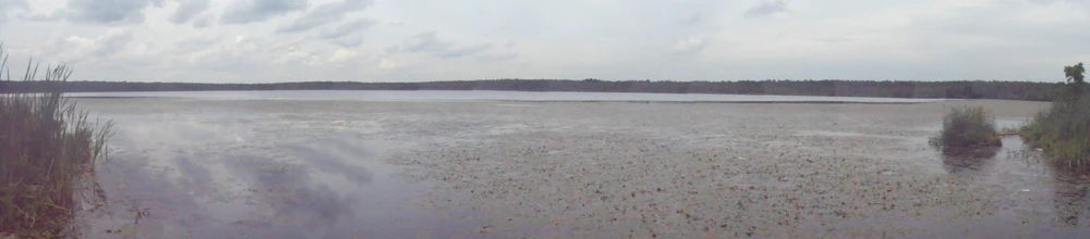 Панорама Нерского озера (село Озерецкое, лето 2013 года)