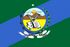 Bandeira-varresai.jpg