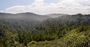 Butano State Park.jpg