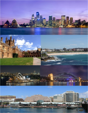 Leo-Collage Sydney.png
