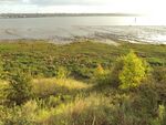 New Ferry, Wirral - DSC03050.JPG